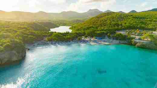 curacao grote knip