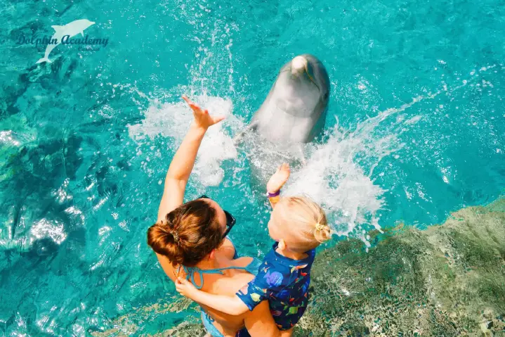 Dolphin Experiences 